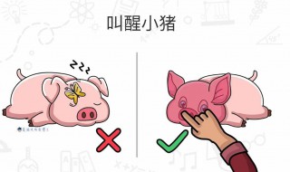 脑洞大师攻略（玩梗高手脑洞大师攻略）