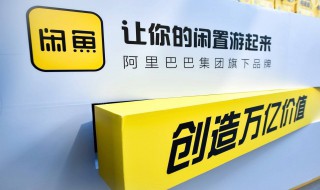 闲鱼自己发布怎么没有曝光（闲鱼自己发布怎么没有曝光功能）