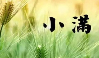 小满养生 小满养生注意事项