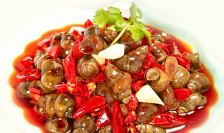 螺丝怎么炒好吃（螺丝怎么炒好吃又好吸）