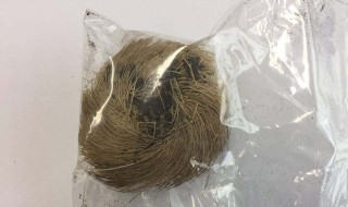 麝香的功效与作用（麝香的功效与作用及禁忌）