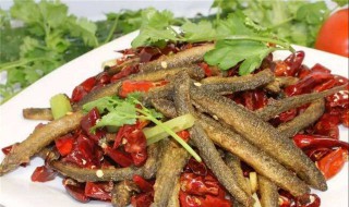 黄泥鳅的饲养（黄金泥鳅怎么养）
