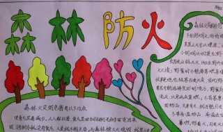 森林防火手抄报（森林防火手抄报图片）