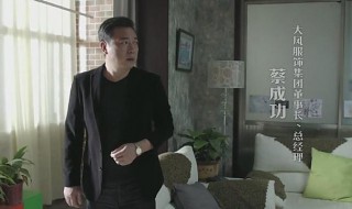 人民的名义蔡成功结局 人民的名义中蔡成功是好的还是坏的