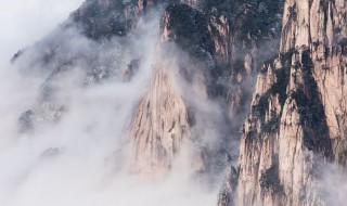 张大千擅长画什么（徐悲鸿擅长画什么）