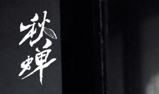 秋蝉电视剧哪个台在播几点（秋蝉电视哪个频道）