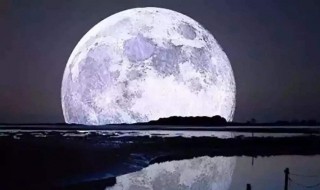 月是故乡明的作者是谁（从今夜白月是故乡明的作者是谁）