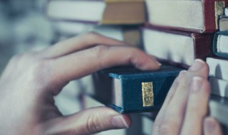 陈姓的来源 陈姓的来源和历史