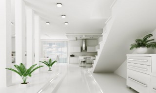 小户型入户花园如何装修 小户型入户花园装修效果图
