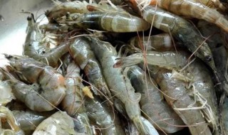 生虾在冷藏能放多久 生虾放冰箱冷藏能放多久