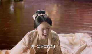 东华帝君惩罚素锦第几集（东华帝君惩罚素锦第几集死的）