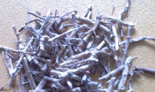 茅根的功效与作用 茅根的功效与作用点