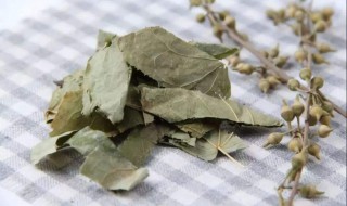 淫羊藿的功效与作用 婬羊藿的功效与作用