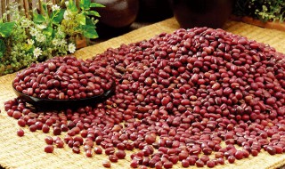 赤豆的功效与作用 赤小豆的功效与作用 和红豆的区别