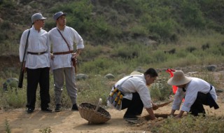 地雷战讲的是什么故事 地雷战讲述了什么