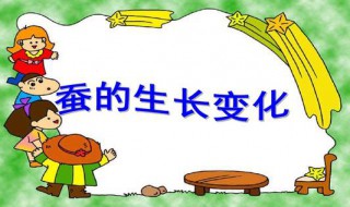 蚕宝宝的生长过程 蚕宝宝的生长过程观察日记