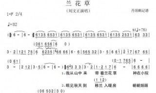 兰花草歌词（兰花草歌词是什么意思）