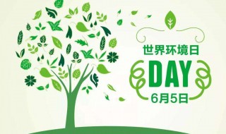 2020年是世界第几个环境日（2020年是第几个世界环境日主题）