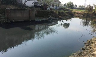 池塘水发黑快速处理方法 水质变黑怎么处理方法
