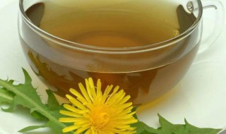 蒲公英茶的作用（蒲公英茶的作用与功效与禁忌）