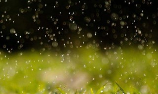 写雨的诗句 写雨的诗句古诗大全