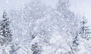 写雪的诗句 写月的诗句