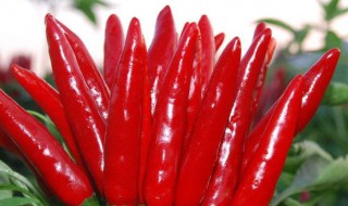 吃辣椒的功效与禁忌 吃辣椒的功效和作用