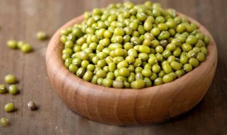 绿豆怎么种?（绿豆怎么种植方法视频）
