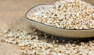 薏米哪类人不宜食用 薏米哪些人不宜吃