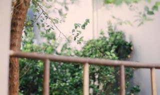 憨憨是什么意思网络用语（憨憨是啥意思网络）