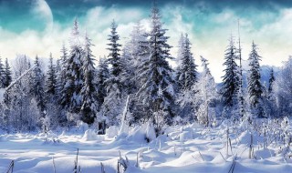 适合春天下雪又打雷的朋友圈（春天下雪又打雷的诗句）