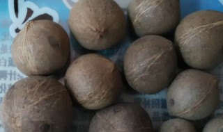 哪类人不宜吃海椰皇 哪类人不宜吃海椰皇呢