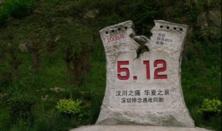 2008年5月12日汶川大地震资料（08年5月12日汶川地震的人员伤亡情况）