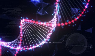 dna复制特点 简述原核生物dna复制特点