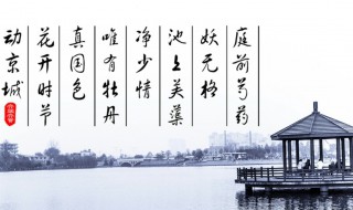 现代诗歌的特点（中国现代诗歌的特点）