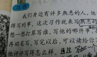 描写人物特点的作文（描写人物特点的作文400字）