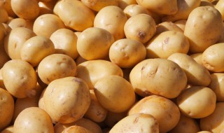 土豆炖鸡块的家常做法（土豆炖鸡块的家常做法步骤）