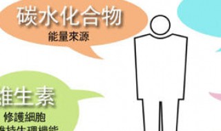 碳水蛋白质脂肪之间的关系（碳水化合物,蛋白质和脂肪三者之间的关系）