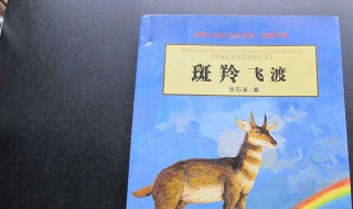 斑羚飞渡读后感 斑羚飞渡读后感红奶羊