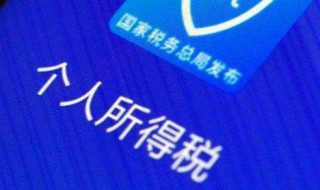 个人所得税app退税流程（上海个人所得税app退税流程）