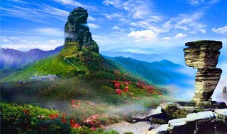 梵净山在哪里（贵州梵净山在哪里）