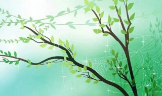 关于柳树的诗句 关于柳树的诗句古诗