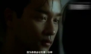阿飞正传经典台词（阿飞正传经典台词有一种鸟）