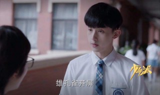 少年派大结局是什么（少年派大结局是怎样）