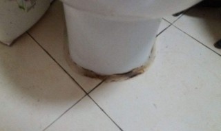 粘马桶可以用玻璃胶吗（马桶胶能粘玻璃吗）