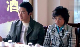 双面胶真实案例（电视剧双面胶真实案例）