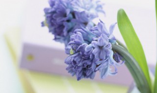 五一节日祝福语简短（五一节日祝福语简短10字）