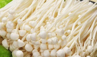 金针菇的做法菜谱 金针菇的做法菜谱大全