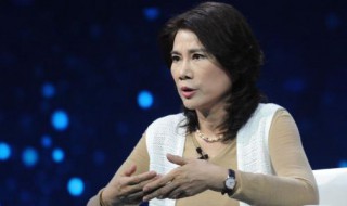 董明珠个人简短经历（董明珠的个人资料详细 简介）