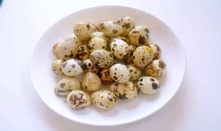 鹌鹑蛋和什么食材搭配
